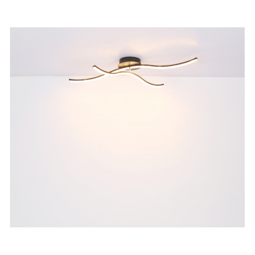 Globo - Lampadario a plafone LED LED/20W/230V