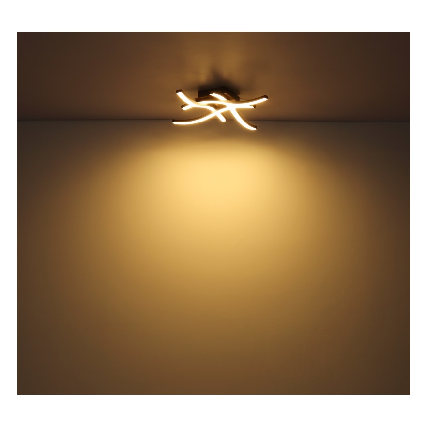 Globo - Lampadario a plafone LED 4xLED/5W/230V