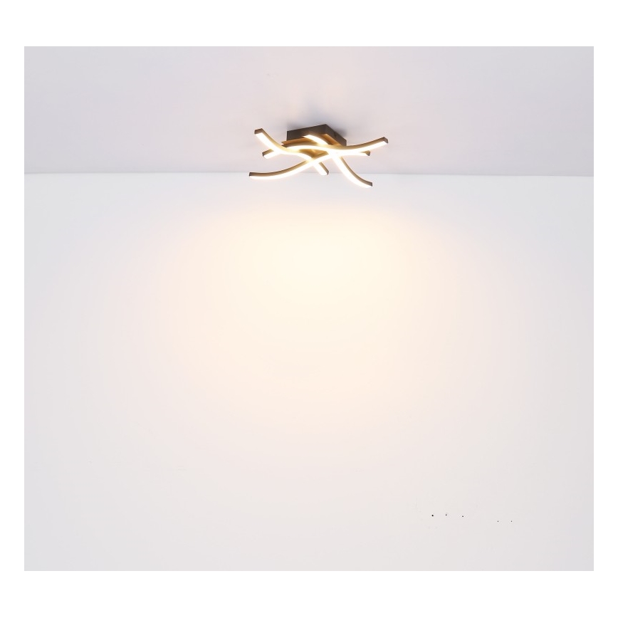 Globo - Lampadario a plafone LED 4xLED/5W/230V