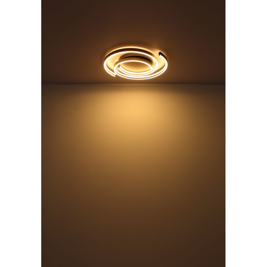 Globo - Plafoniera LED LED/38W/230V