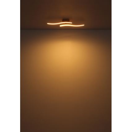 Globo - Lampadario a plafone LED LED/12W/230V 3000K bianco
