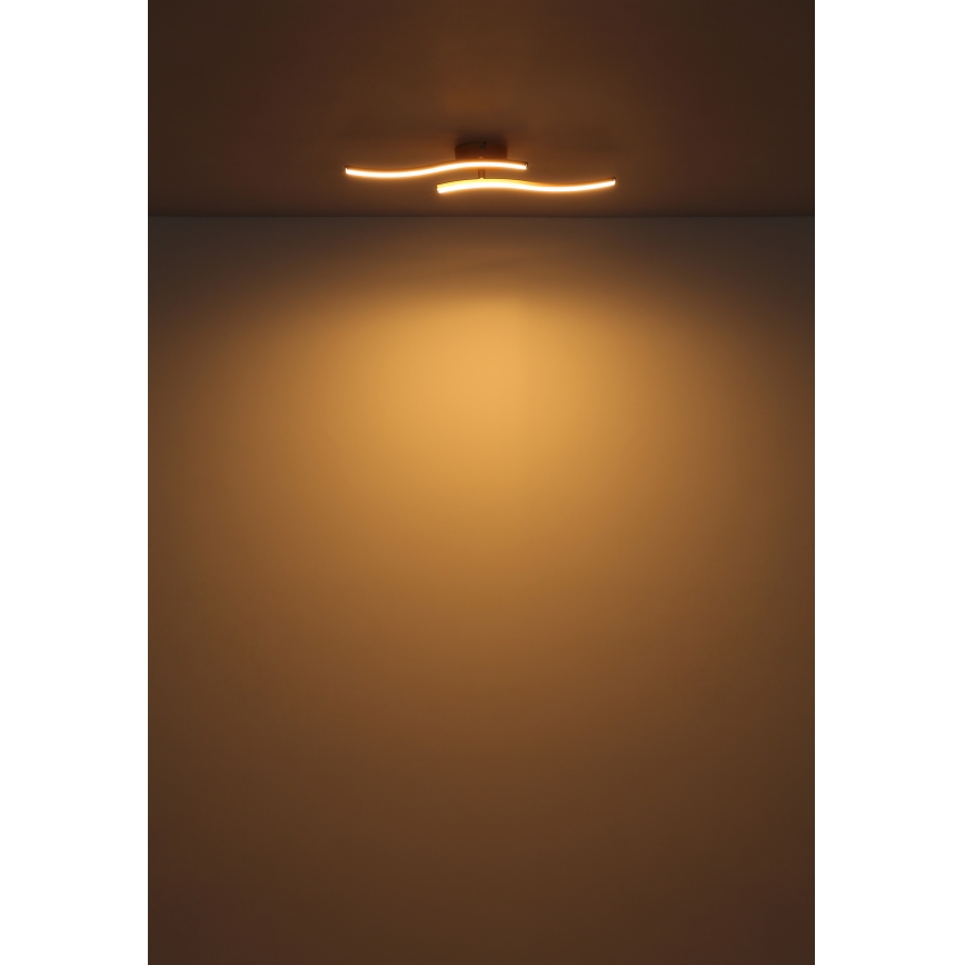 Globo - Lampadario a plafone LED LED/12W/230V 3000K bianco