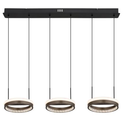 Globo - Lampadario LED a sospensione con filo LED/40W/230V 3000/4000/6000K marrone