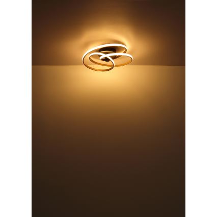 Globo - Lampadario a plafone LED LED/40W/230V 3000K cromo opaco/nero