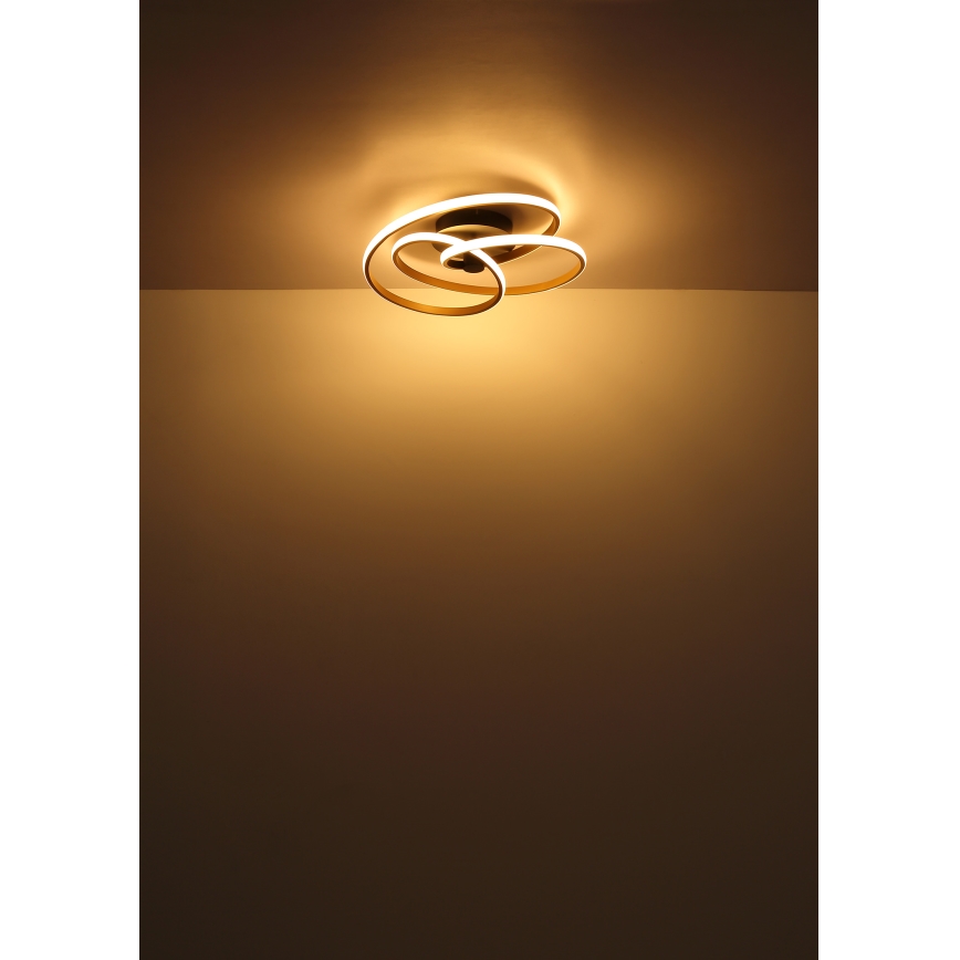 Globo - Lampadario a plafone LED LED/40W/230V 3000K cromo opaco/nero