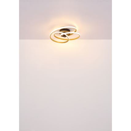 Globo - Lampadario a plafone LED LED/40W/230V 3000K cromo opaco/nero