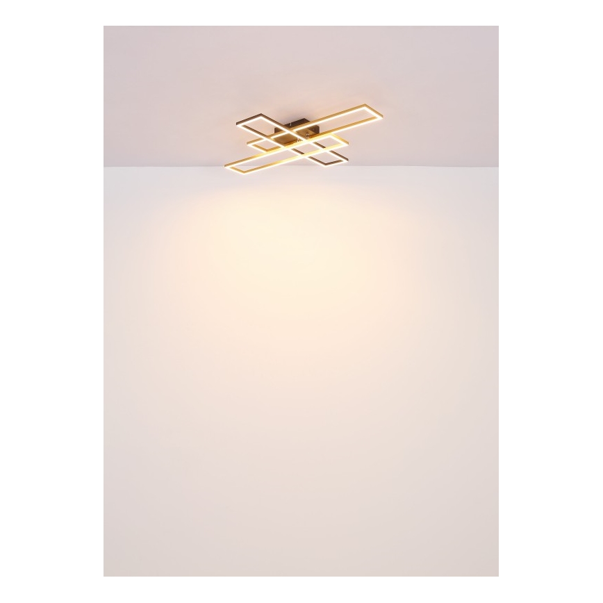 Globo - Plafoniera LED LED/40W/230V 3000K 60x80 cm nero/oro