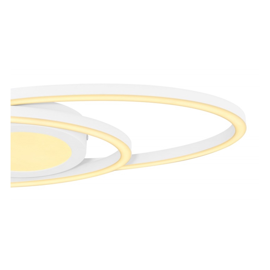 Globo - Plafoniera LED LED/24W/230V