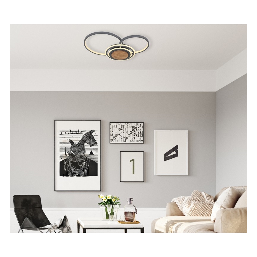 Globo - Plafoniera LED LED/40W/230V