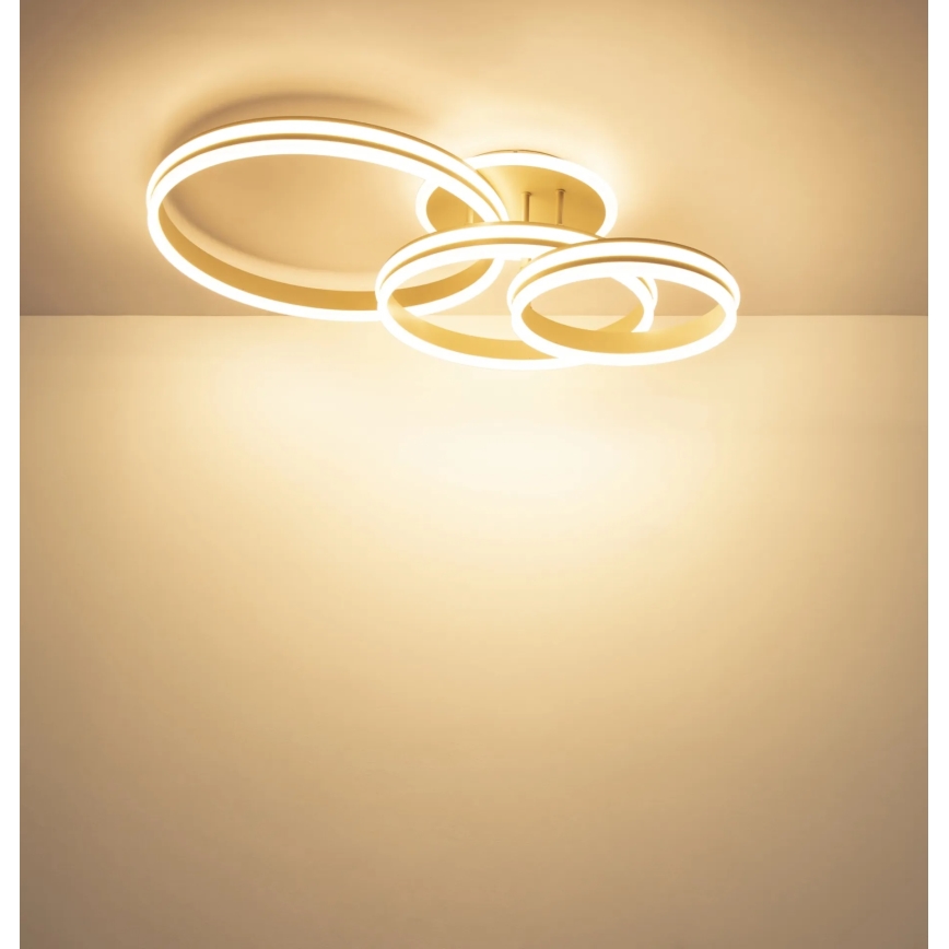 Globo - Plafoniera LED dimmerabile LED/72W/230V 3000K 79,5x50 cm
