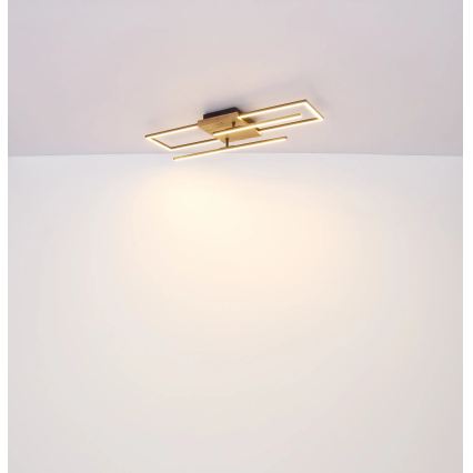 Globo - Plafoniera LED 24W/230V 3000K 20x80 cm