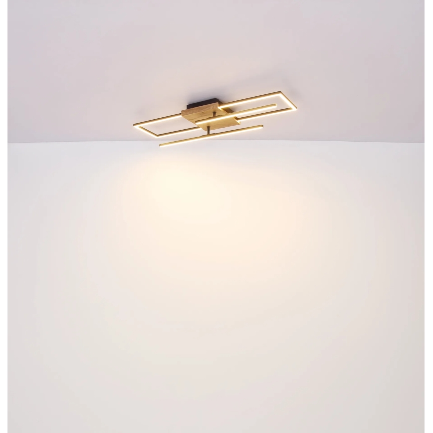 Globo - Plafoniera LED 24W/230V 3000K 20x80 cm