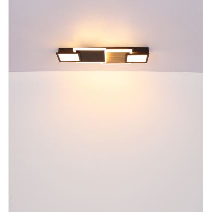 Globo 67279-30 - Plafoniera LED CAROLINE LED/30W/230V 25x71,5 cm beige/nero