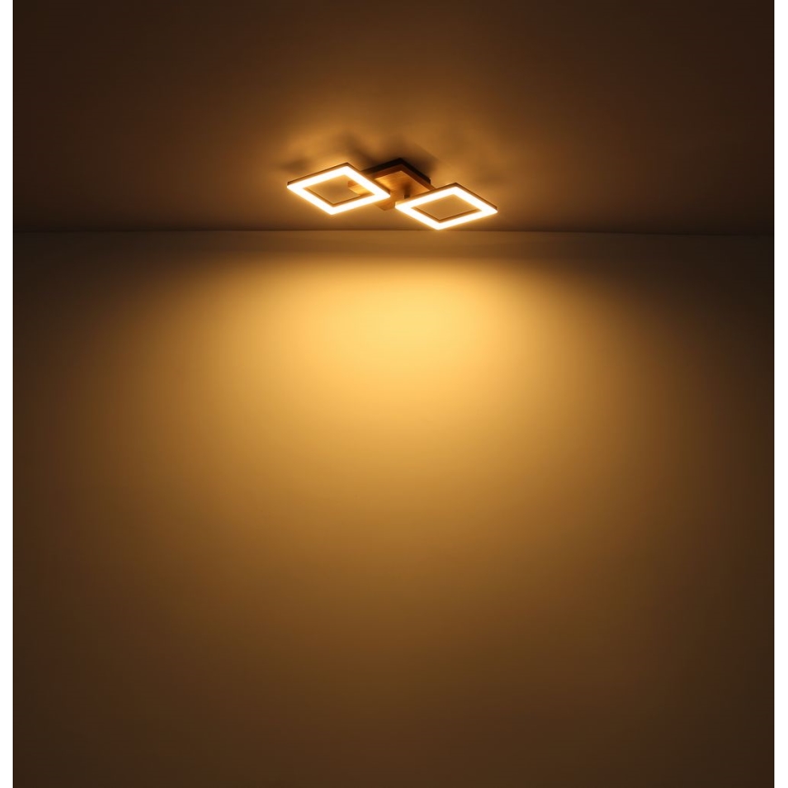 Globo - Lampadario LED a plafone LED/30W/230V