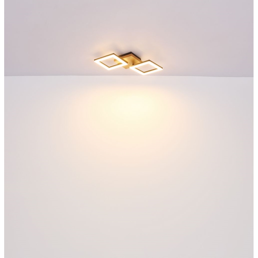 Globo - Lampadario LED a plafone LED/30W/230V