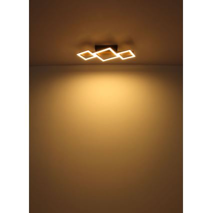 Globo - Plafoniera LED LED/29W/230V