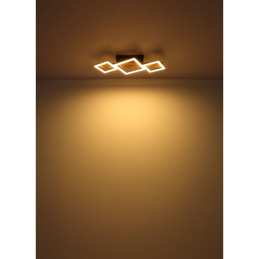 Globo - Plafoniera LED LED/29W/230V