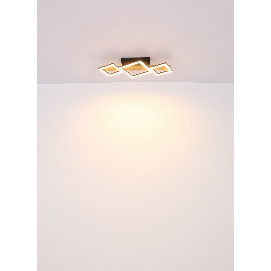 Globo - Plafoniera LED LED/29W/230V