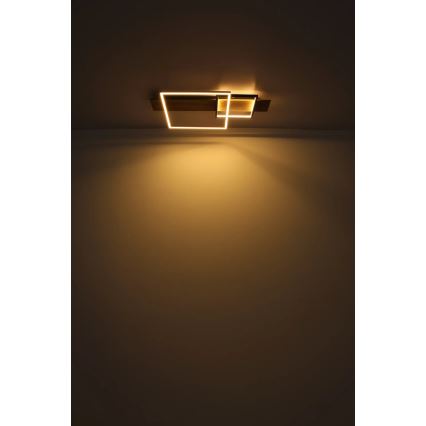 Globo 67289D1 - Plafoniera LED VANNI LED/24W/230V 40x75 cm marrone/nero