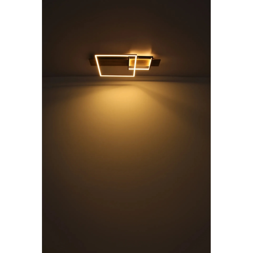 Globo 67289D1 - Plafoniera LED VANNI LED/24W/230V 40x75 cm marrone/nero