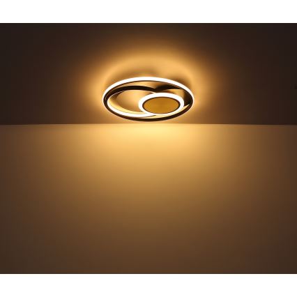 Globo - Plafoniera LED LED/24W/230V