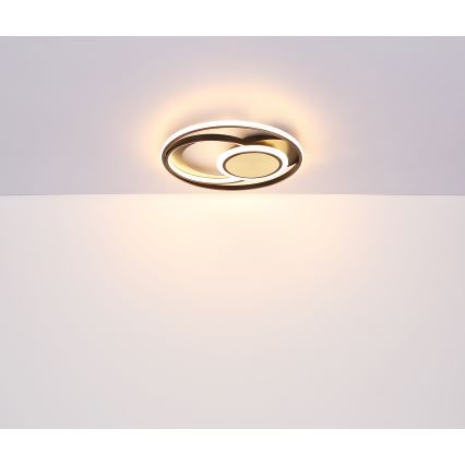 Globo - Plafoniera LED LED/24W/230V