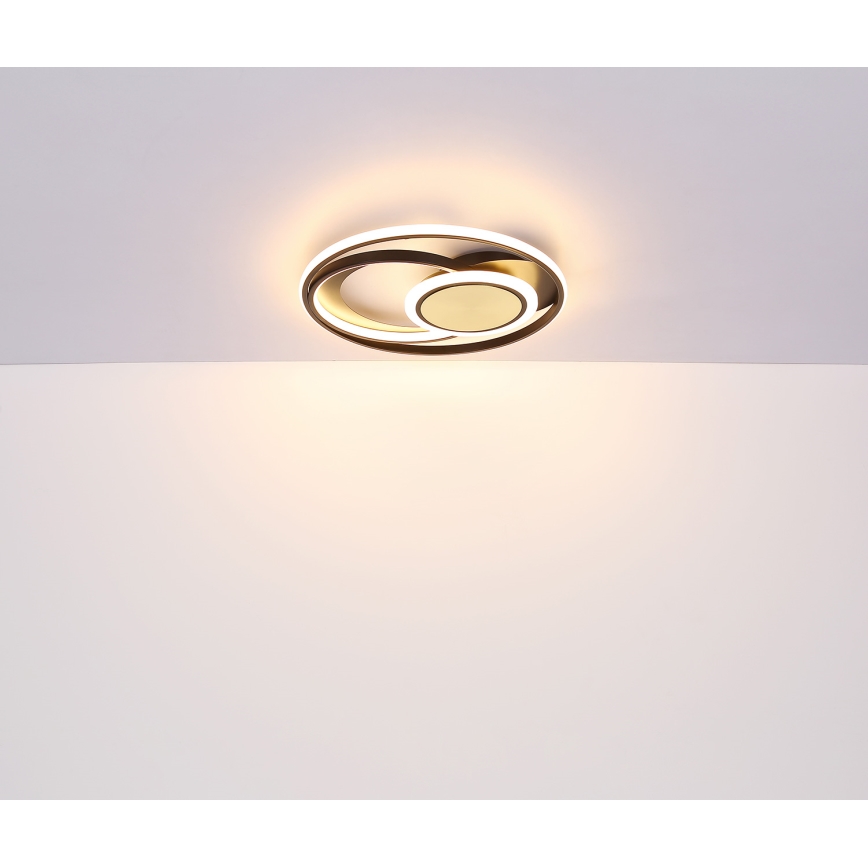 Globo - Plafoniera LED LED/24W/230V