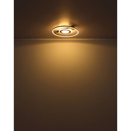 Globo - Plafoniera LED LED/24W/230V