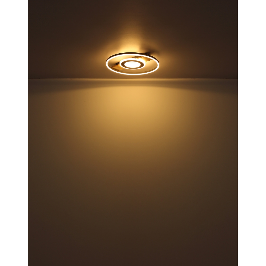Globo - Plafoniera LED LED/24W/230V
