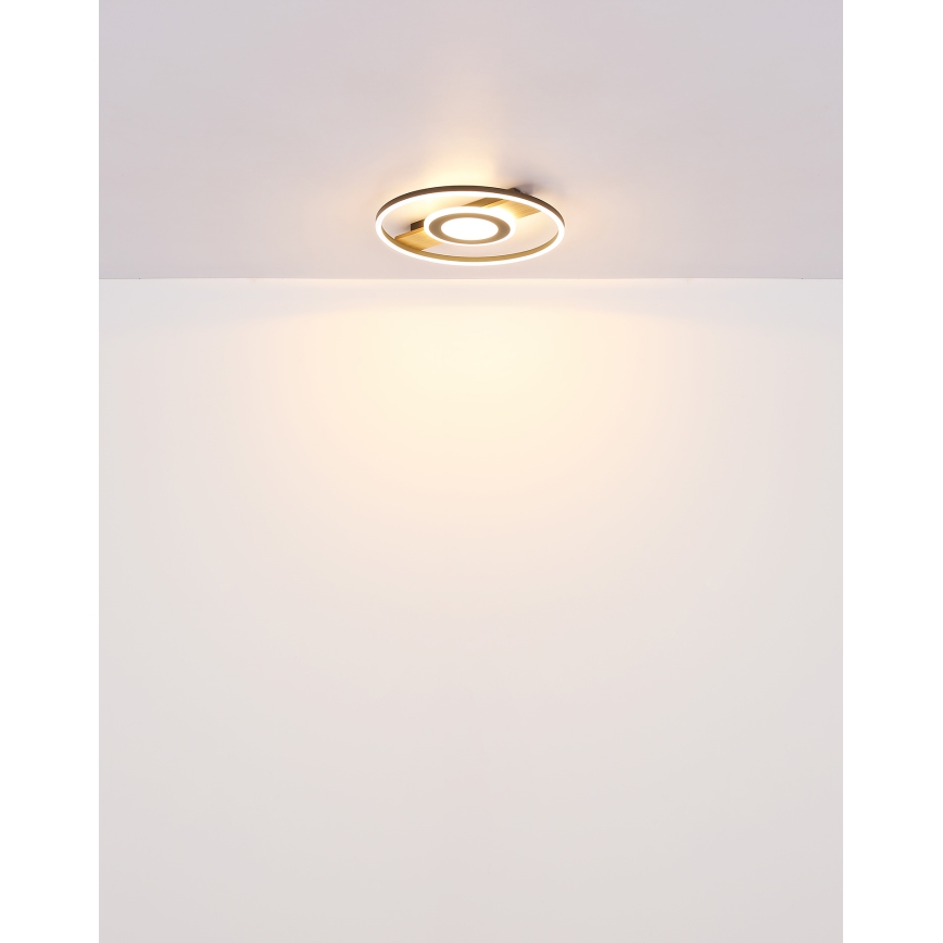 Globo - Plafoniera LED LED/24W/230V