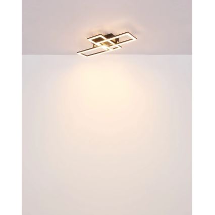 Globo - Plafoniera LED LED/24W/230V