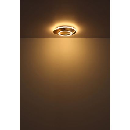 Globo - Plafoniera LED LED/24W/230V