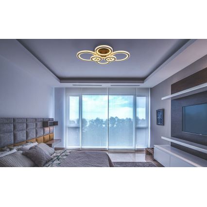 Globo - Plafoniera LED dimmerabile LED/60W/230V 2700-6000K 56x78 cm antracite + telecomando