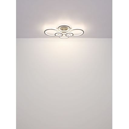 Globo - Plafoniera LED dimmerabile LED/60W/230V 2700-6000K 56x78 cm antracite + telecomando