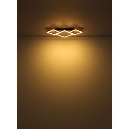 Globo - Plafoniera LED LED/24W/230V + LED/8W 3000K 31x61cm