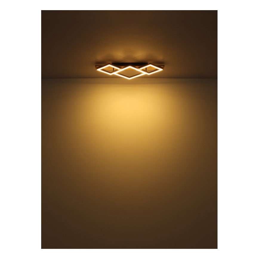 Globo - Plafoniera LED LED/24W/230V + LED/8W 3000K 31x61cm