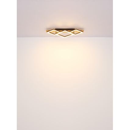 Globo - Plafoniera LED LED/24W/230V + LED/8W 3000K 31x61cm