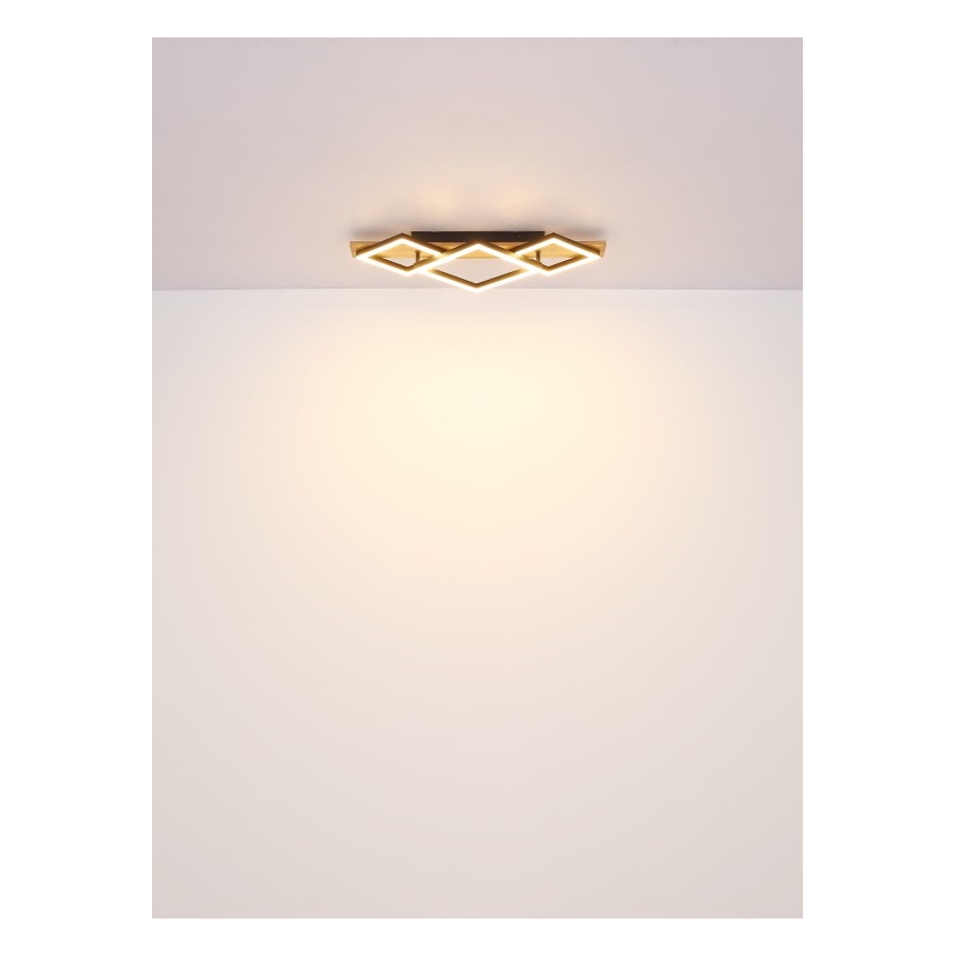 Globo - Plafoniera LED LED/32W/230V 3000K 31x61cm