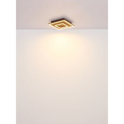 Globo - Plafoniera LED LED/18W/230V 3000K 30x30 cm