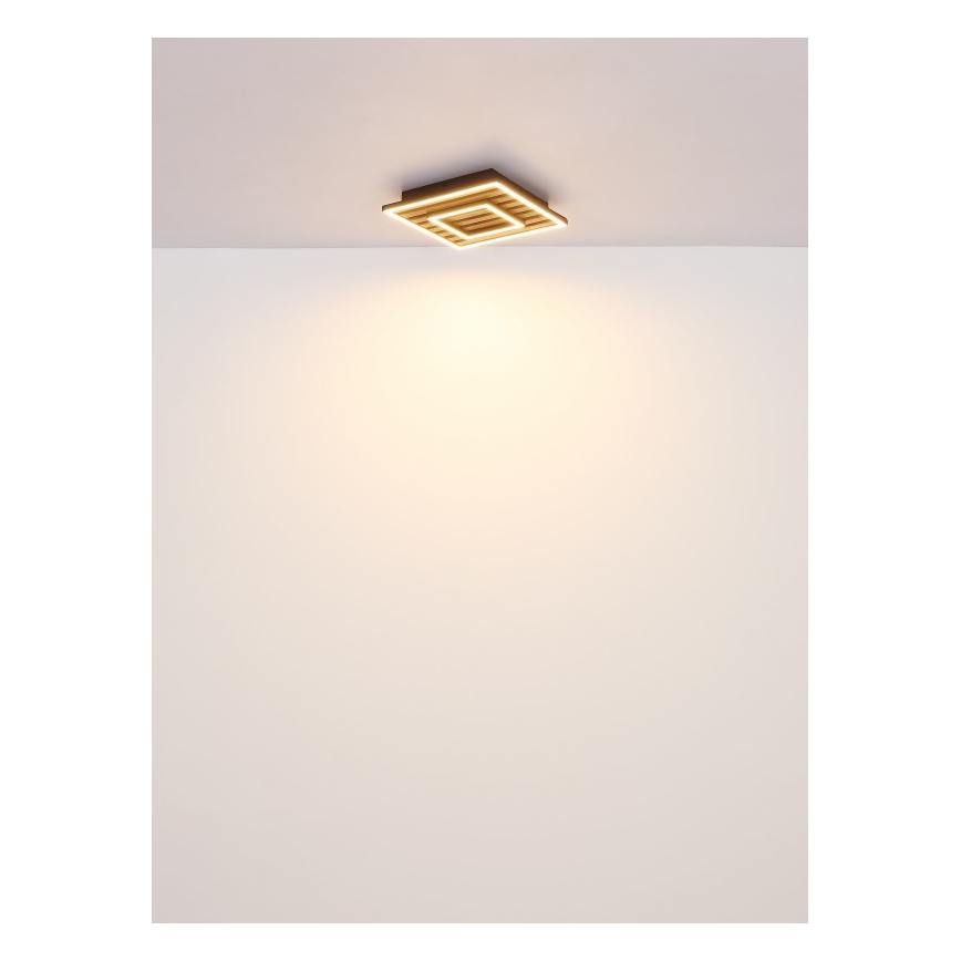 Globo - Plafoniera LED LED/18W/230V 3000K 30x30 cm