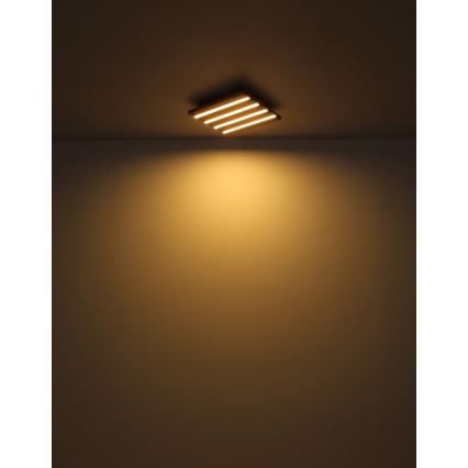 Globo - Plafoniera LED/15W/230V 3000K 30x30 cm