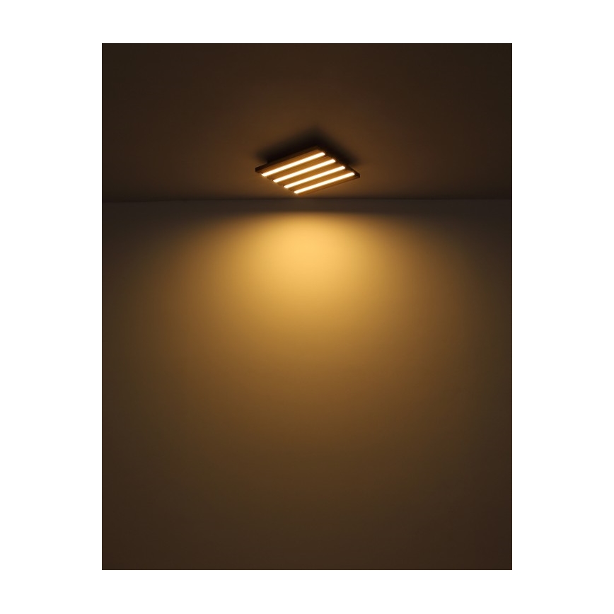 Globo - Plafoniera LED/15W/230V 3000K 30x30 cm