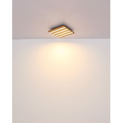Globo - Plafoniera LED/15W/230V 3000K 30x30 cm