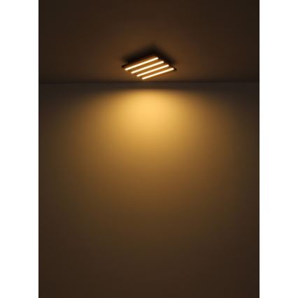 Globo - Plafoniera LED LED/30W/230V 3000K 45x45 cm legno