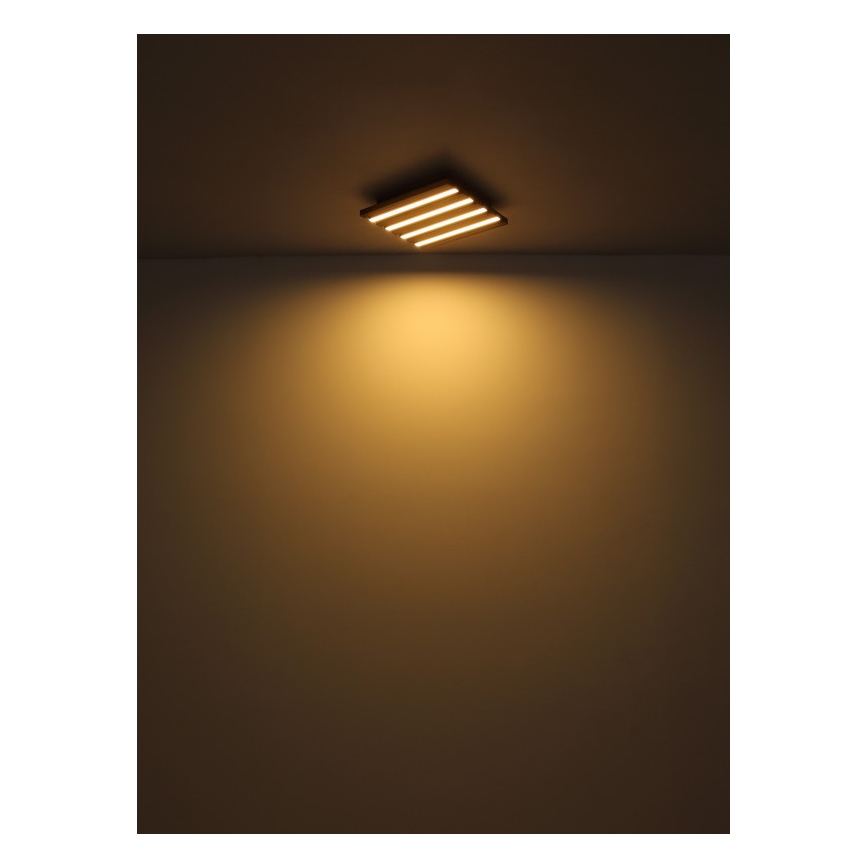 Globo - Plafoniera LED LED/30W/230V 3000K 45x45 cm legno