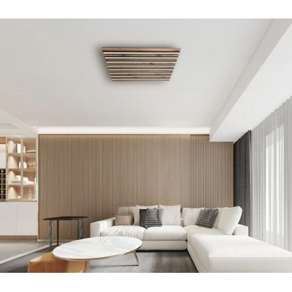 Globo - Lampada da soffitto dimmerabile a LED/40W/230V 2700-6000K 60x60 cm + telecomando