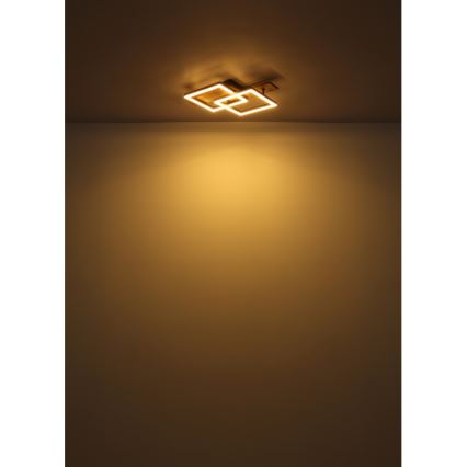 Globo - Plafoniera LED 16W, 230V, 3000K, 33x44 cm