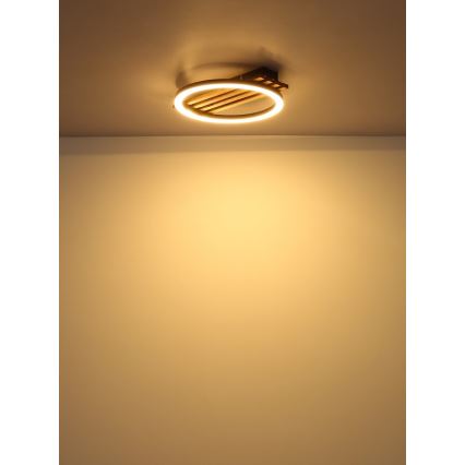 Globo - Plafoniera LED LED/12W/230V 3000K 30x34 cm