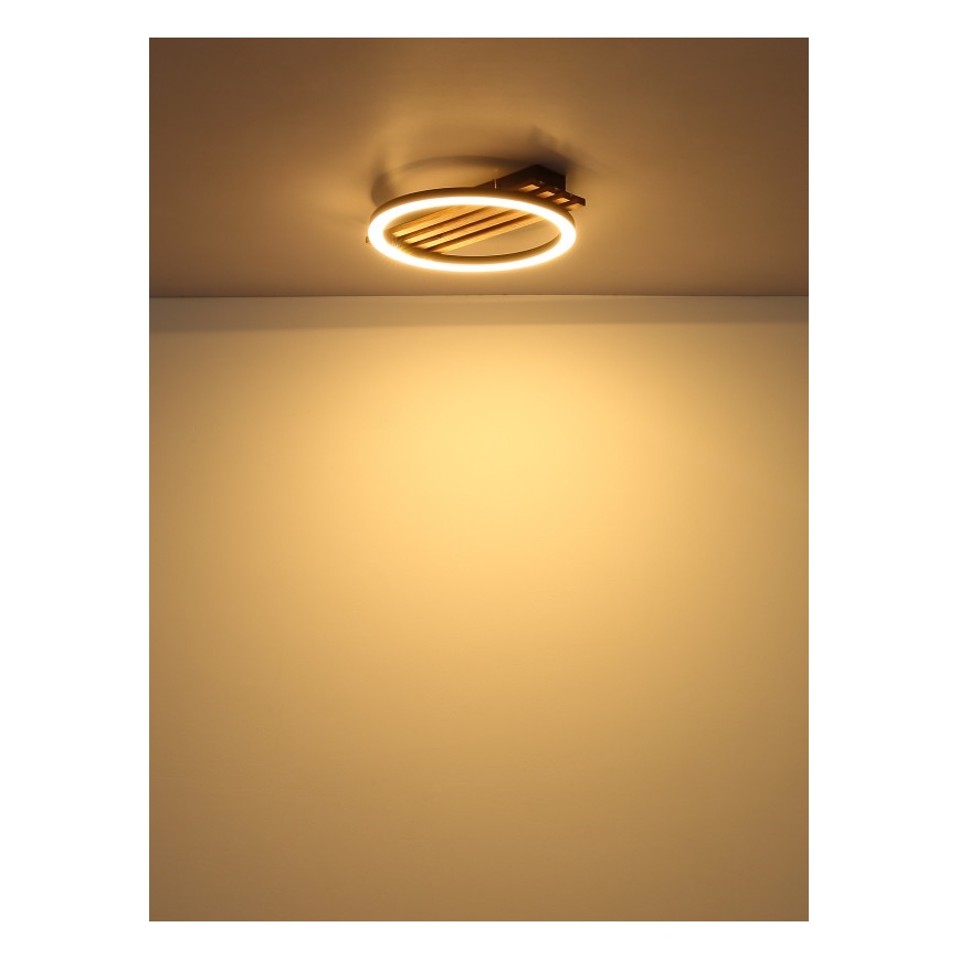 Globo - Plafoniera LED LED/12W/230V 3000K 30x34 cm