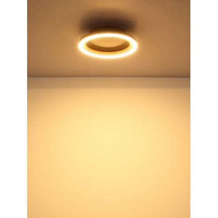 Globo - Plafoniera LED/12W/230V 3000K Ø 20,5 cm
